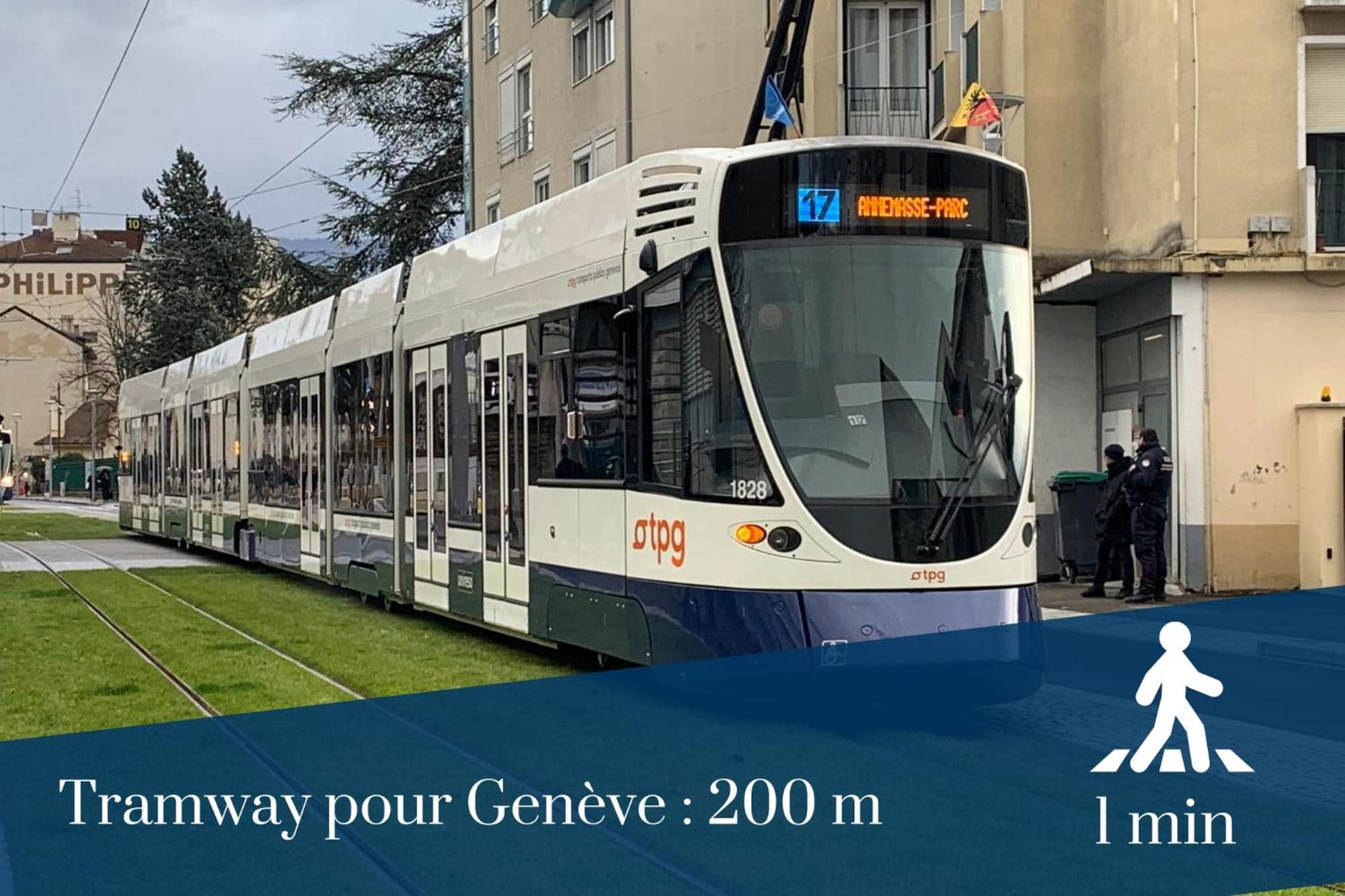 Homey Wild - Proche Gare Et Tram - Proche Centre - Balcon Prive - Parking Prive - Wifi Gratuit Annemasse Extérieur photo